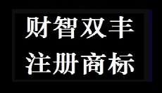 党的二十大报告中强调依法保护知识产权